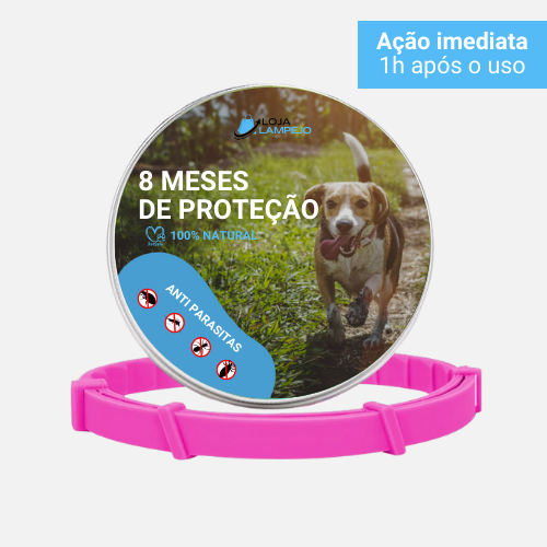 PetSafe - Colar Anti Pulgas e Carrapatos [Promoção de últimas unidades]